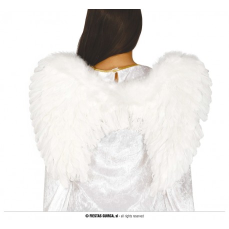 ALAS ANGEL PLUMAS